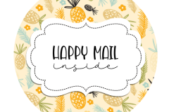 2inch-round-pp-pineapple-happy-mail-sticker