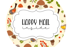 2inch-cute-robins-happy-mail-sticker