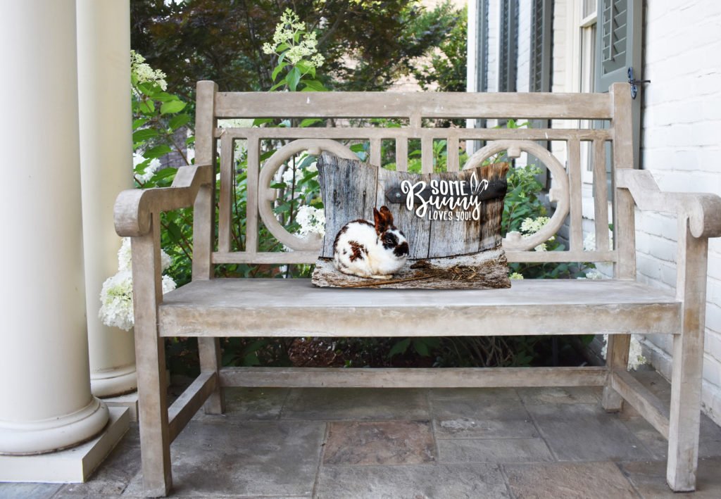 porch pillow