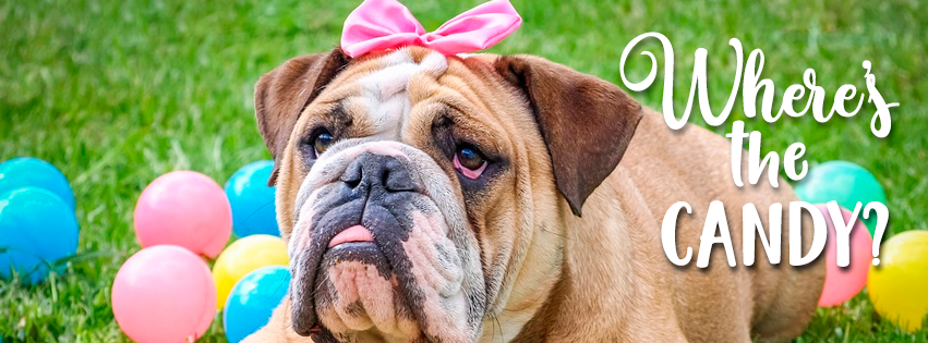 Facebook Funny Cover Photo Easter