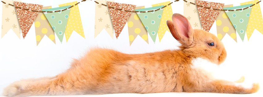 Facebook Easter Cover Photo Banner