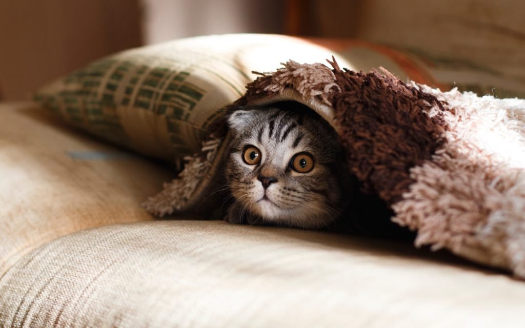 before photo makeover