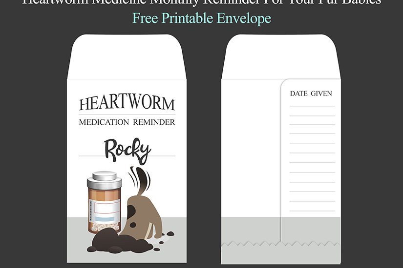 heartworm medicine reminder printable envelope