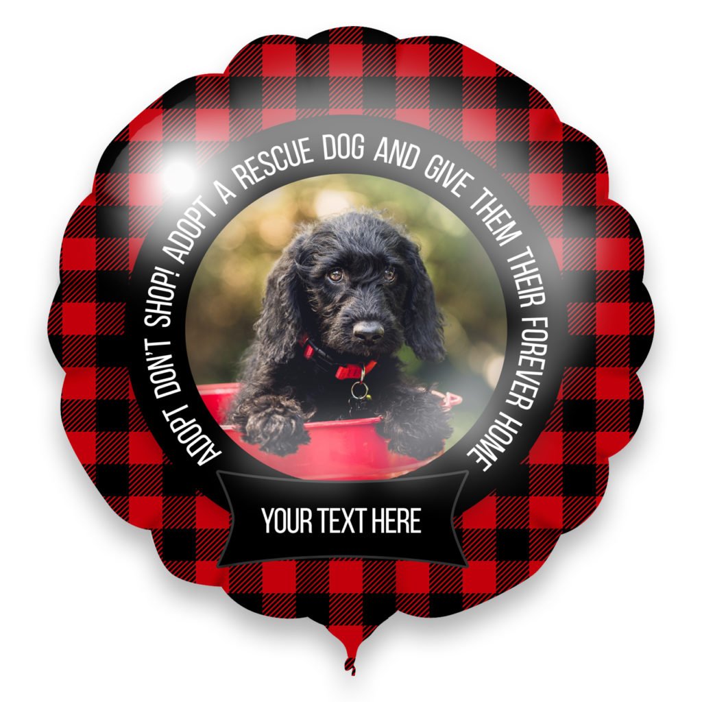 fundraiser donations adopt a dog photo balloon