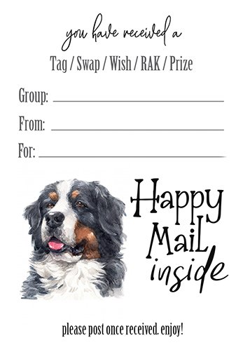 Bernese Mountain Dog