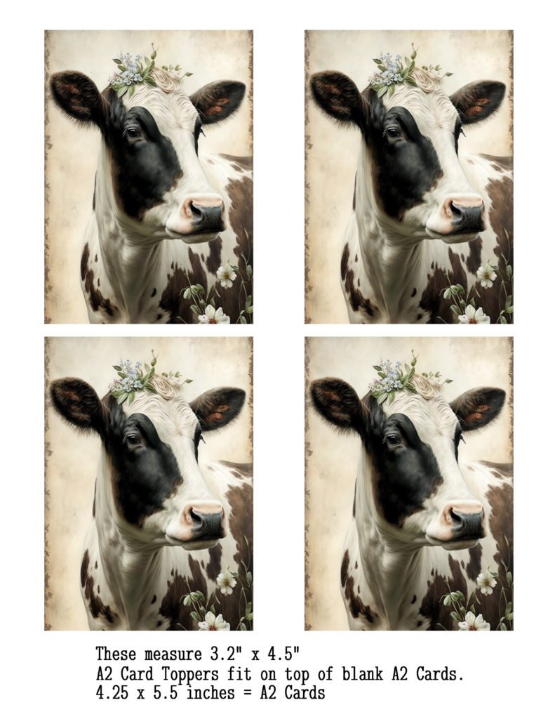 Daisy The Cow A2 Card Topper