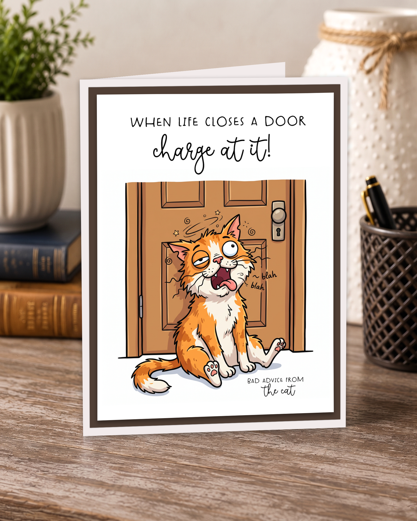funny cat